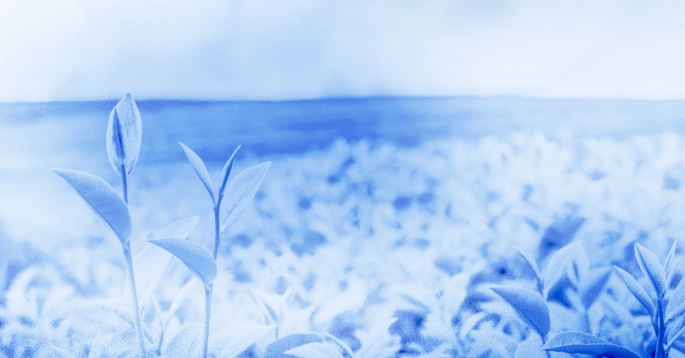 Agriculture procurement