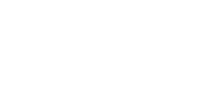 Fair Fax Logo White